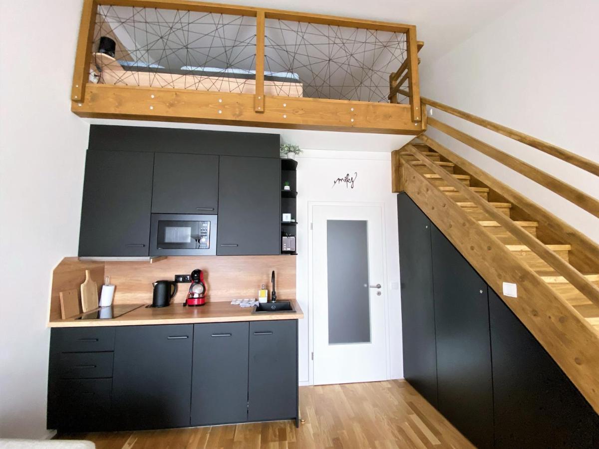 Miky Apartman Klinovec View Loučná pod Klínovcem 외부 사진