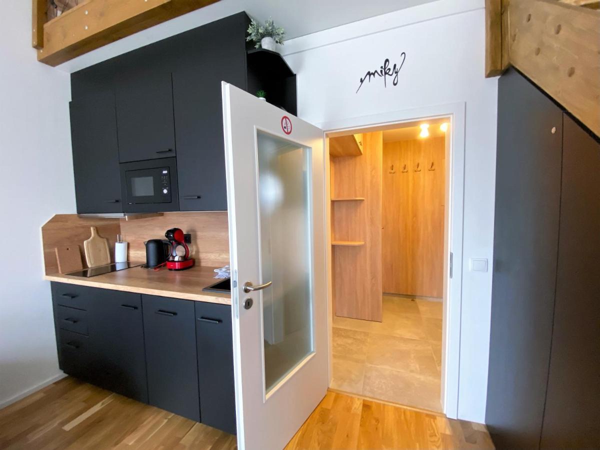 Miky Apartman Klinovec View Loučná pod Klínovcem 외부 사진