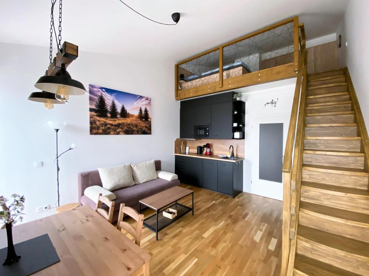 Miky Apartman Klinovec View Loučná pod Klínovcem 외부 사진