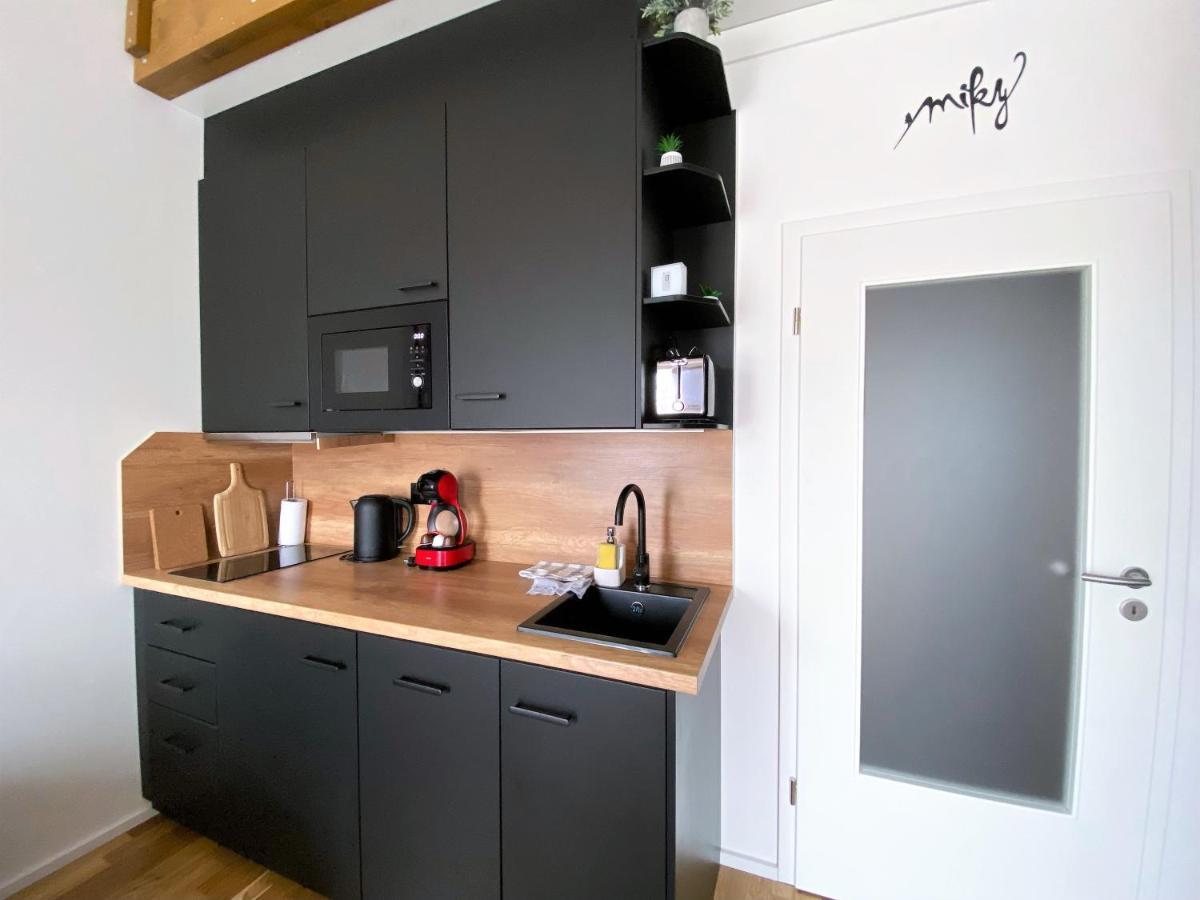 Miky Apartman Klinovec View Loučná pod Klínovcem 외부 사진