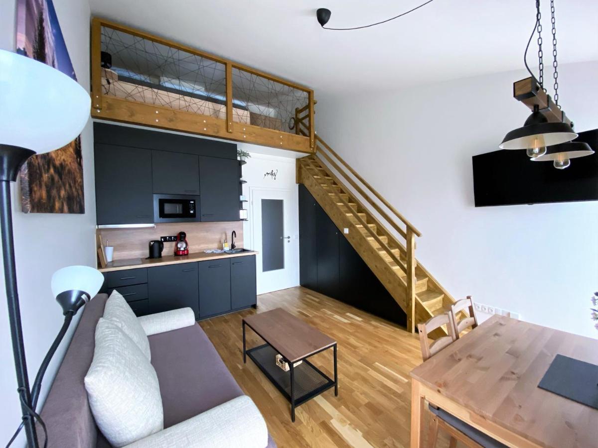 Miky Apartman Klinovec View Loučná pod Klínovcem 외부 사진