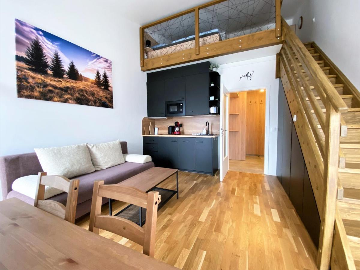 Miky Apartman Klinovec View Loučná pod Klínovcem 외부 사진